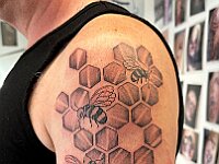0810-0670