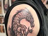 0810-1620