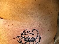 0810-3250